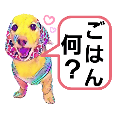 [LINEスタンプ] lovelyダックスフンド・アンの家族連絡用♡