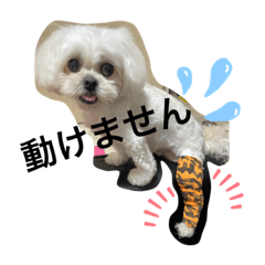 [LINEスタンプ] チェリン