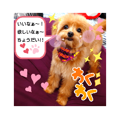 [LINEスタンプ] ポメプーのまろんちゃんの画像（メイン）