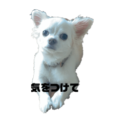 [LINEスタンプ] ななちゃん7歳