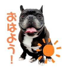 [LINEスタンプ] はまちのすたんぷ