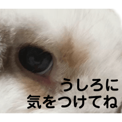[LINEスタンプ] ウサ田の日常