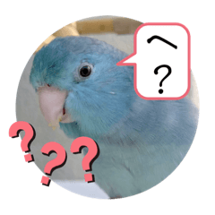 [LINEスタンプ] マメルリハのリル17