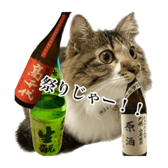 [LINEスタンプ] 酒飲みねこ