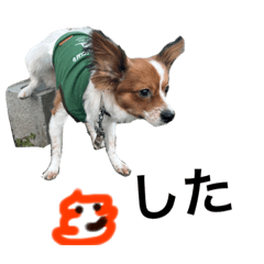 [LINEスタンプ] むぎちゃんメインスタンプ
