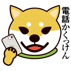 [LINEスタンプ] ゴリゴリ八女弁のシバ犬さん。