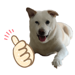 [LINEスタンプ] ウィードのスタンプ