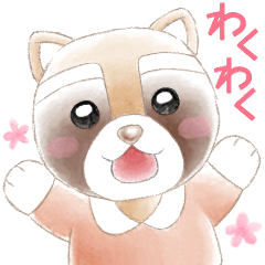 [LINEスタンプ] あらいぐまのあらい♪日常スタンプ