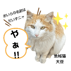 [LINEスタンプ] 地域猫の愉快なスタンプ7