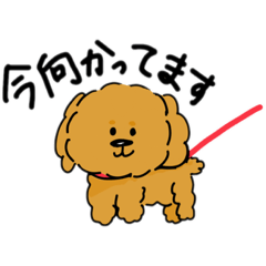 [LINEスタンプ] もふもふぽんちゃん