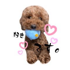 [LINEスタンプ] 愛犬だいすき⑴