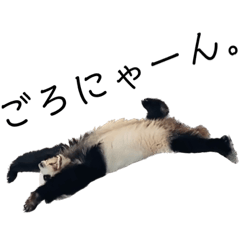 [LINEスタンプ] しゃべる生き物大辞典vol.1