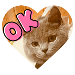 [LINEスタンプ] 頑張れダイナ君