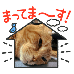 [LINEスタンプ] みんなのてっちゃんすたんぷ