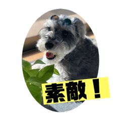 [LINEスタンプ] ミニシュナアルアル③