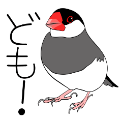 [LINEスタンプ] 文鳥の毎日スタンプ