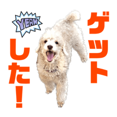 [LINEスタンプ] リンとユウのスタンプ8