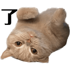 [LINEスタンプ] マンチスタンプ