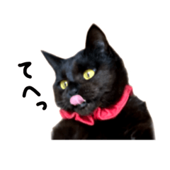 [LINEスタンプ] くろねこくりかのこ のびのび〜2