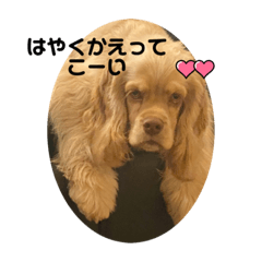 [LINEスタンプ] 横山家の仲間たち！