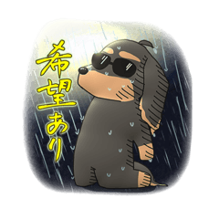 [LINEスタンプ] グラサンダックス2