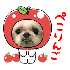 [LINEスタンプ] みんなのアイドルクッキーちゃん3