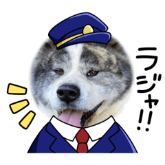 [LINEスタンプ] 秋田犬の銀ちゃん2