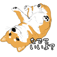 [LINEスタンプ] しばいぬううううう！ 2