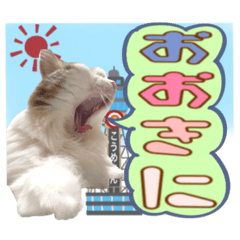 [LINEスタンプ] こうめさん大阪 壱