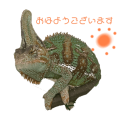 [LINEスタンプ] カメレオントゲPチャンの日常