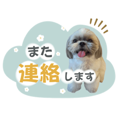 [LINEスタンプ] くぅたま 第2弾