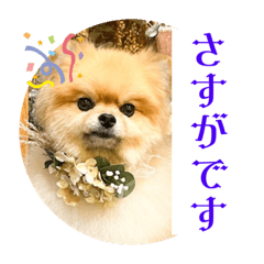[LINEスタンプ] いつでも！レンくん