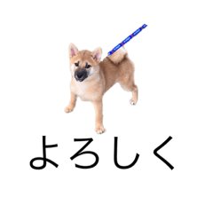 [LINEスタンプ] 愛犬スタンプ 第2弾