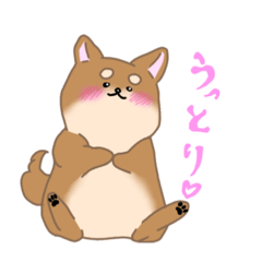 [LINEスタンプ] 麦八兵衛 (柴犬)