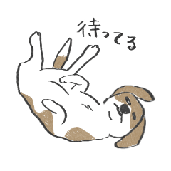 [LINEスタンプ] 犬猫うちの子どもたち