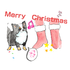 [LINEスタンプ] ワンにゃんクリスマス