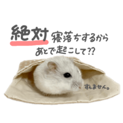 [LINEスタンプ] おもちの日常すたんぷ