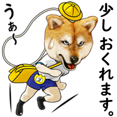 [LINEスタンプ] ごきげんマスコットな柴犬・ゴキシバ敬語編