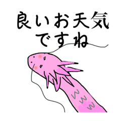 [LINEスタンプ] 龍と仲間たちからのメッセージスタンプ