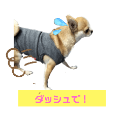[LINEスタンプ] ケロコロスタンプ