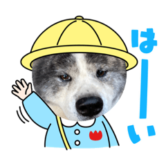 [LINEスタンプ] 秋田犬の銀ちゃん3