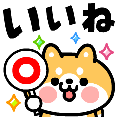 [LINEスタンプ] 飛び出す！柴犬君とおやじ君の毎日挨拶