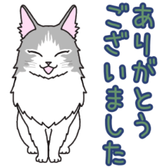 [LINEスタンプ] ノルウェージャンのモモとベンガル達