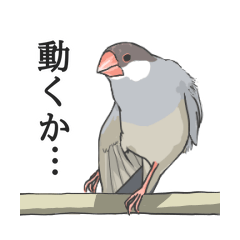 [LINEスタンプ] 日常ぶんちょう。