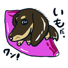 [LINEスタンプ] ワンちゃんが夢中になる食べ物。