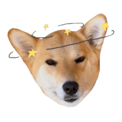 [LINEスタンプ] マヨんぷ2