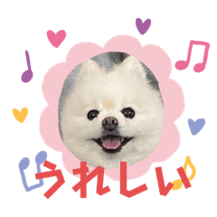 [LINEスタンプ] ぷぷスタンプ！