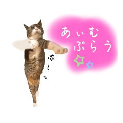 [LINEスタンプ] こころざしっ