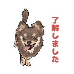 [LINEスタンプ] チワワ 2