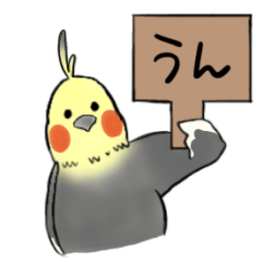 [LINEスタンプ] 意思表示するオカメインコ